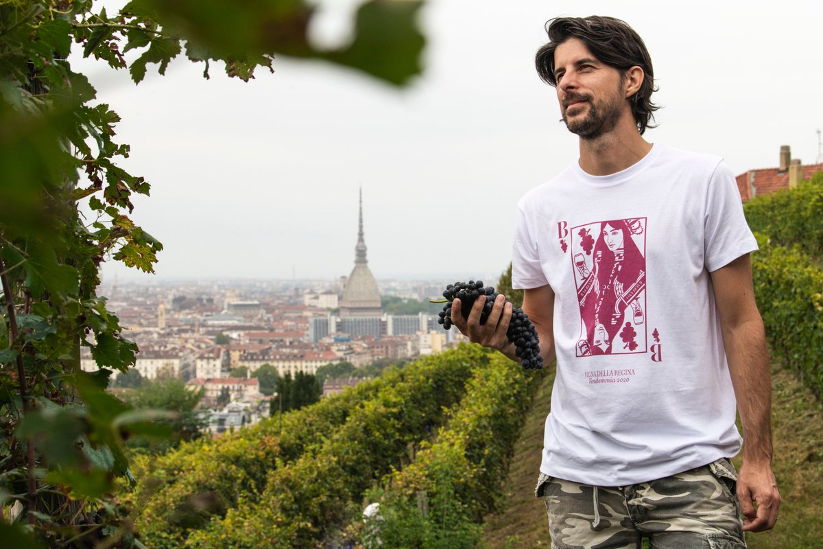 #Vendemmia a #VignaDellaRegina, memoria vivente del vigneto del #Seicento e che ancora scandisce #stagioni vita a #Torino. <a href="/ViniBalbiano/">Vini Balbiano</a>, che la gestisce, in #ResidenzaSabauda, patrimonio #Unesco, ha finito oggi la raccolta: “2020 valore di rinascita più significativo di sempre”