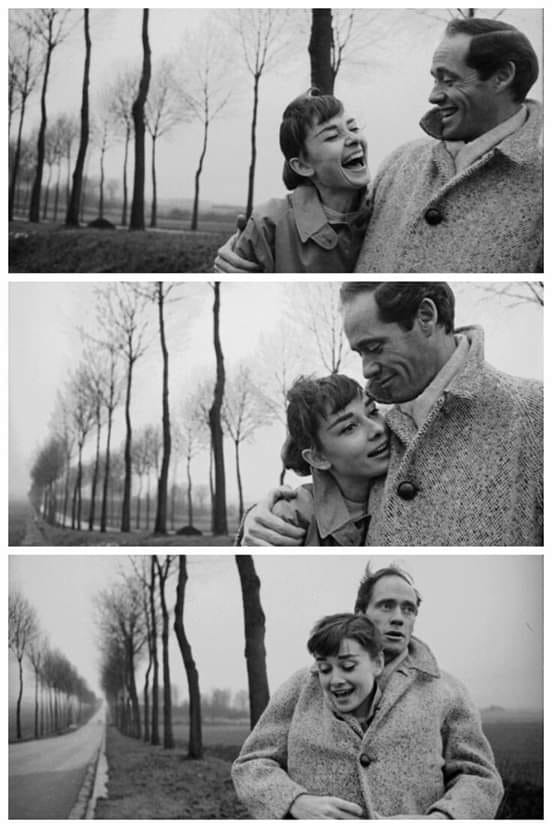 literlandweb1's tweet image. "Hay presencias que nos marcan, que nos cambian, que nos mejoran".
"Un mundo iluminado", Ángeles Mastretta