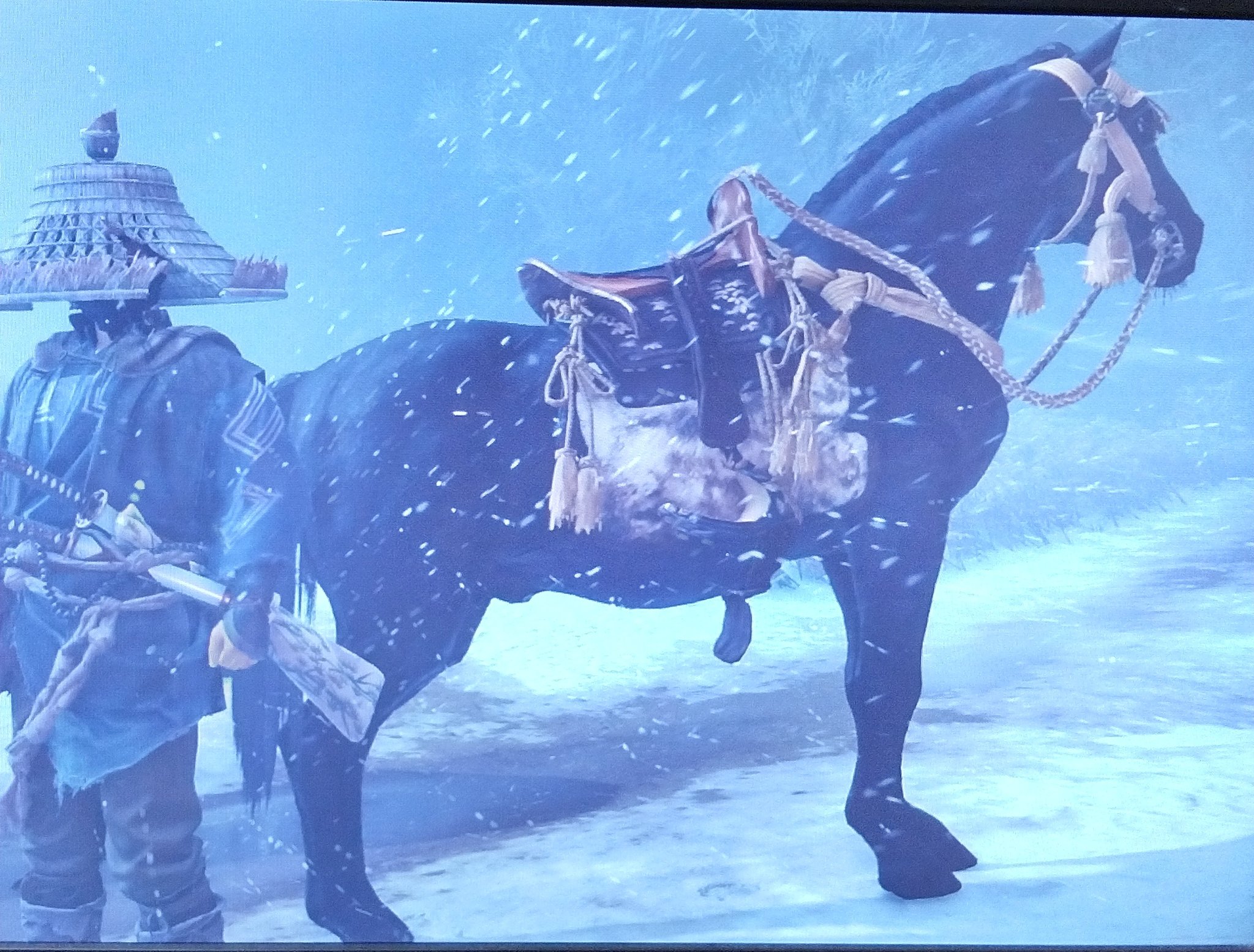 富山 大 元 宮明寺勝大 信の死後 ゆなが連れてきた農耕馬と 軍馬 こーして見ると馬体が違いすぎる 足はノロいし 言うこと利かないし 呼んでもすぐ来ないけど それで農耕馬なりに頑張ってたんで 名前ぐらいはつけてやりたかった 軍馬の名前