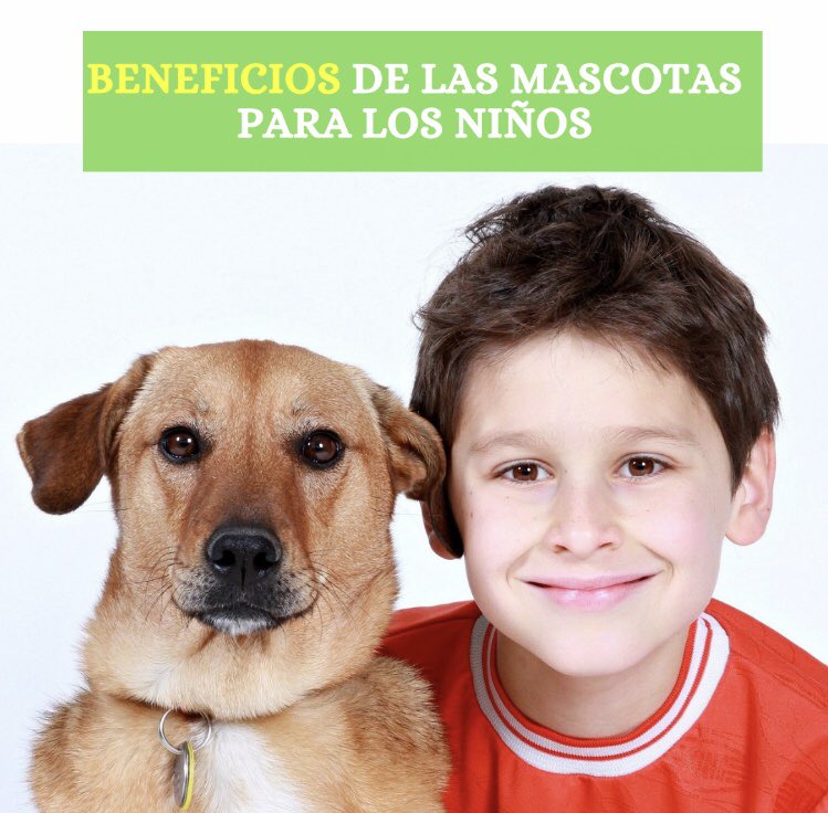 NUGtoday's tweet photo. Tener una mascota en casa aportará muchos beneficios a los más pequeños del hogar:
🐶Transmiten valores
🐱Reduce el estrés en los niños
🐶Menos riesgos de asma y alergias
🐱Sensación de seguridad
🐶Mejora las relaciones con otras personas
🐱Reducen la agresividad https://t.co/yxdjEbCDNY