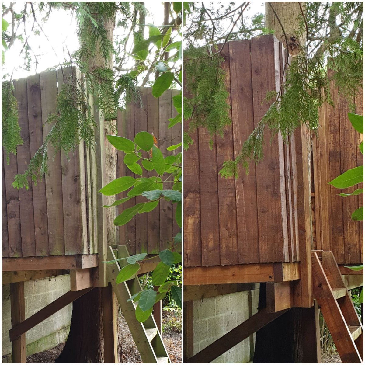 Captainpolewash's tweet photo. Wood restoration on a tree house today. 

https://t.co/uoZp7BP8NE
info@cpwgroupltd.co.uk 
01202 905440 https://t.co/mI2IysRZYN