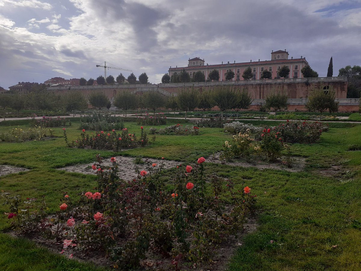 Gregori37712272's tweet image. 📸 Desde su inauguración en junio del año pasado, la recuperada huerta del #PalacioDeBoadilla sorprende a sus visitantes por su colorido y riqueza. 
Al otro lado del muro nos espera un paseo por la senda del arrroyo de la Fresneda.