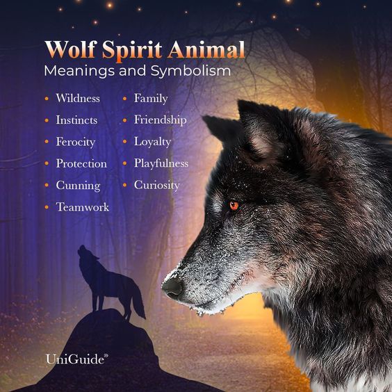 leah_author's tweet photo. What's your #spiritanimal ? https://t.co/zMYk2nHQn1