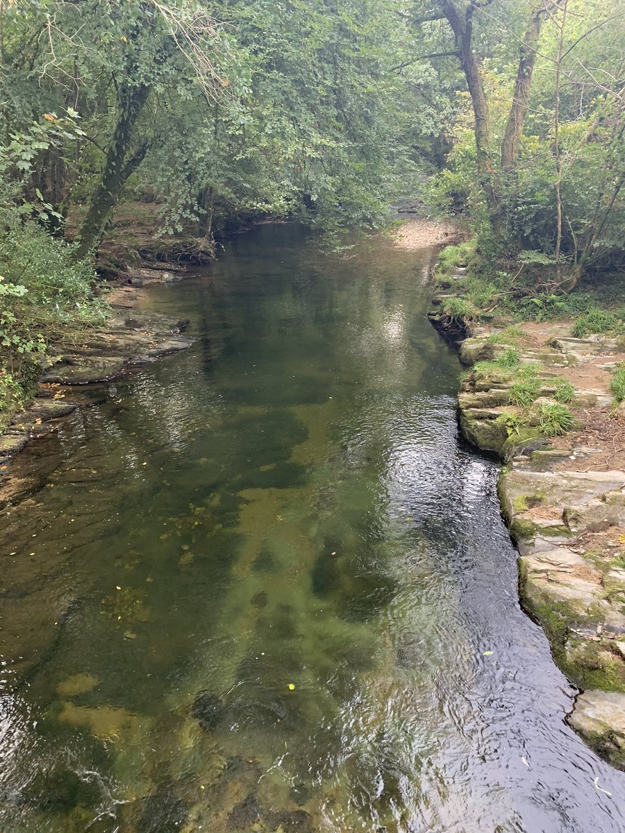 clareoreilly's tweet image. I ran quite far today (20 miles) with my dog, Blue. Now I’m quite tired, drinking wine and waiting for my burger delivery to come... She, however, is cocking about in the garden with a ball #trailrunning #running #dogswhorun #runningdog