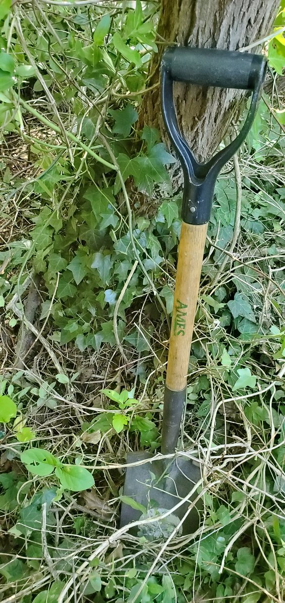 josephjsackman's tweet photo. Water is one of my favorite things, I'd say I can't live without it. Today I volunteered with @SaveTheGSB to save the local creeks that feed into the Great South Bay. Thanks @nev_kev for joining me! #sackman2020 #water https://t.co/6mUzswNJJ0