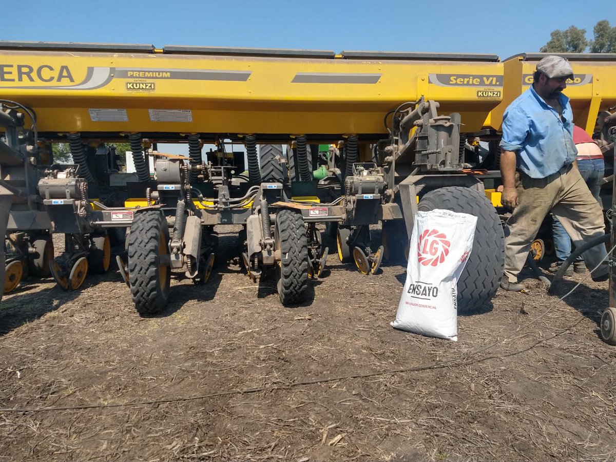 lgsemillas's tweet photo. Ensayo de rendimiento #Maiz en Caseros (Entre Rios) en el campo de un cliente fiel #MarioMangioli Gentileza de nuestro #LiderLG #Agrocampo
#Generandoinformacion
#SomosLG
#Corn https://t.co/dWhdevAYMV