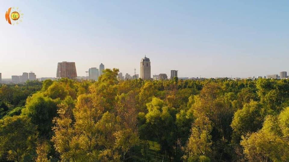 Markoo998877's tweet photo. #kurdistan #hawler #samiabdulrahmanpark https://t.co/PgXHNqelcI