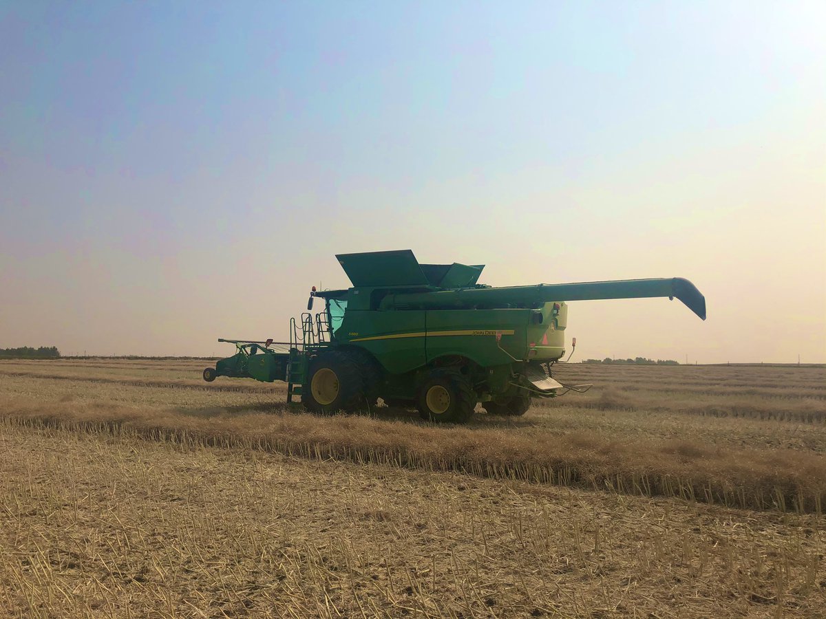 Road trip, visiting a few of our facilities: Moose Jaw / Cut Knife / Innisfail // They are busy shipping 2020 Crop at full force #AgrocorpProcessing