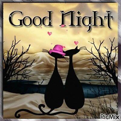 mate_ame's tweet photo. Where are you my Baby💝?
#soulmateoramesoeur #single #singlemom #singlegirl #woman #singlewoman #singlewomanproblems #singlewomanlife #singlelady #singleladylife #singleladyswag https://t.co/Yq4CnrSbIG