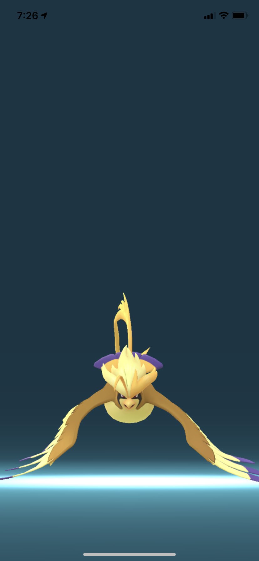 ポラリス Al Twitter ポケモンgo 色違いピジョットをメガ進化させました メガピジョットを相棒にしました ポケモンgo 色違い ピジョット メガピジョット T Co Q5syu2icky Twitter