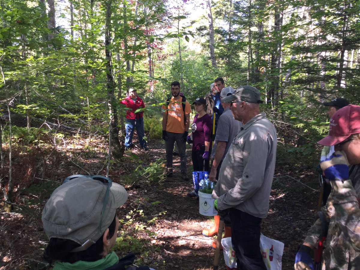 TransitionKing3's tweet photo. How can @KingsCountyNS and @Peter_Muttart get serious about climate change mitigation?

Easy. Plant more trees.

Today, 15 volunteers planted 1,000 trees on two private properties on the North Mountain.

We need more events like this.

We’re in a climate emergency folks. https://t.co/YM74JrYgm2