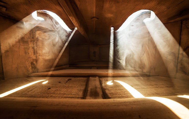 chselles's tweet image. Adrian Borda fotografía el mundo interior de los instrumentos musicales