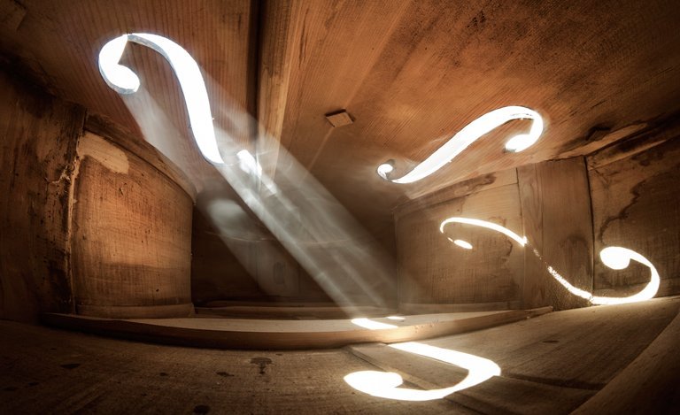 chselles's tweet image. Adrian Borda fotografía el mundo interior de los instrumentos musicales