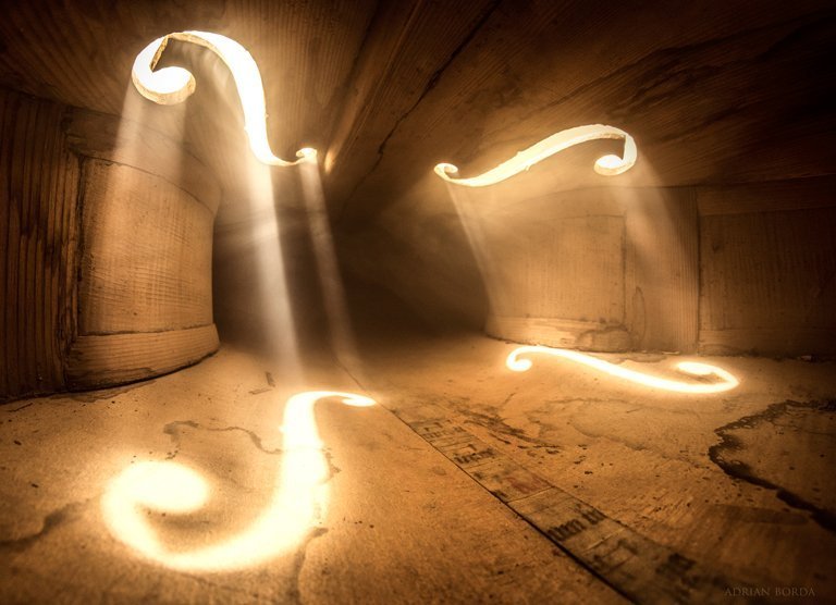 chselles's tweet image. Adrian Borda fotografía el mundo interior de los instrumentos musicales