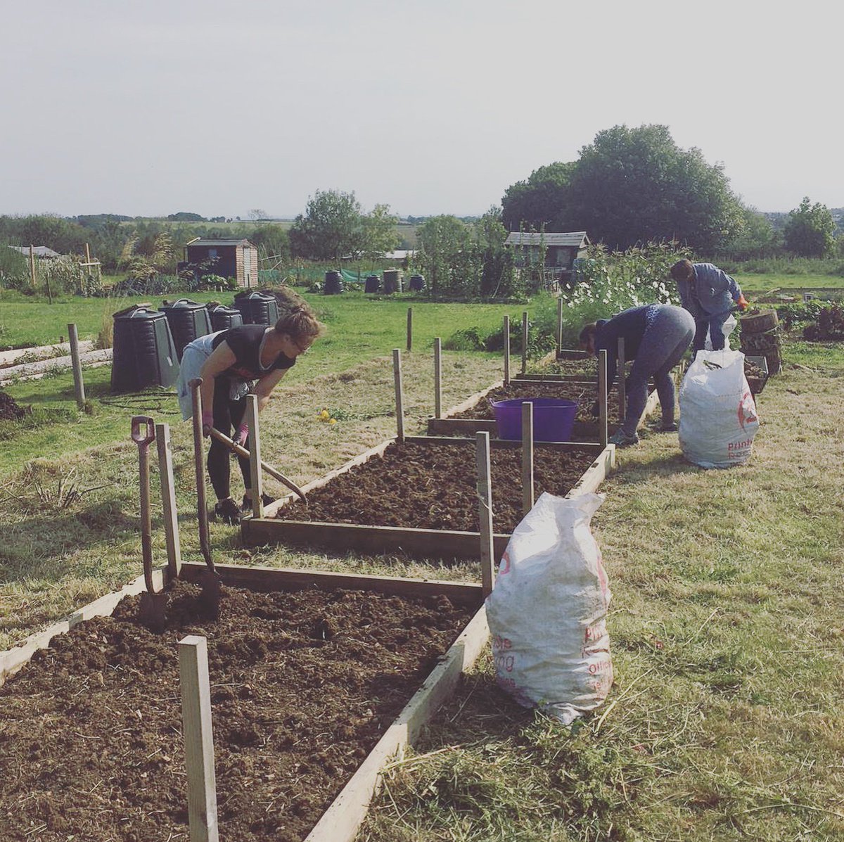 Our #plasticbottlegreenhouse is really starting to take shape. It was a busy day on our #schoolallotment. After many months of lock down, the plot looked like a jungle. Big thanks to all those who came along to help.