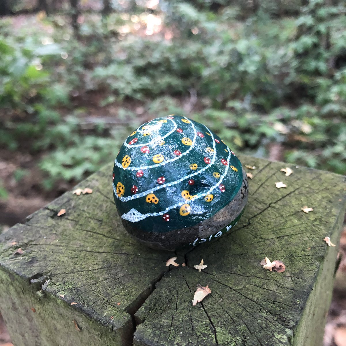 CompassionateRo's tweet image. Mistakes make us human (not unlovable).

Thanks to @DennisTirchPhD @DrShelleyK &amp;amp; @365dayscompass for the inspiration 🙏🏽

#pebbleswithpurpose #mistakes #rockpaintingart #rockpainting #human #paintedrocks #compassionrocks #compassionaterocks #365daysofcompassion #fail