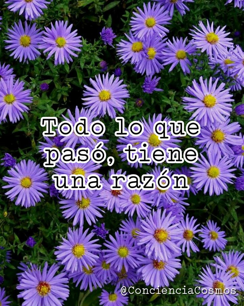 ConcienciaCosmo's tweet photo. 💫Todo lo que pase, es por una razón. Siempre hay un propósito detrás de todo, incluso cuando no lo parece 🙌🏻
.
.
.
.
.
.
#espiritualidad #amor #conciencia #astrologia #tarot #kabbalah #crecimientopersonal #amorpropio #paz #bienestar  #felicidad #vida #conciencia #universo https://t.co/hUslgDZGXn