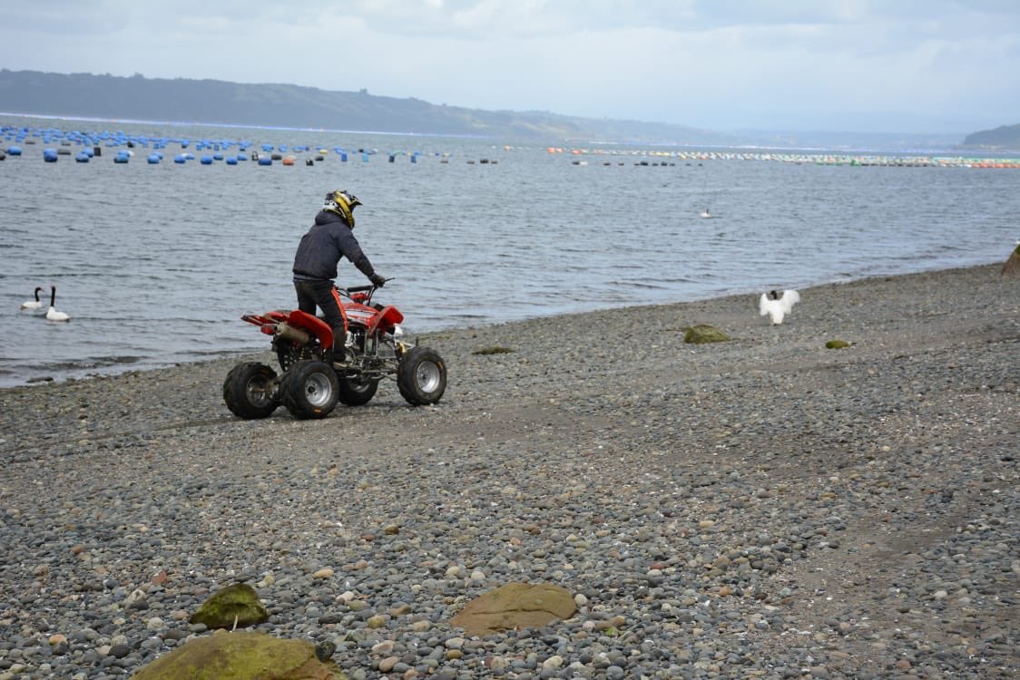 ❗️Defendamos Patagonia❗️ tweet media