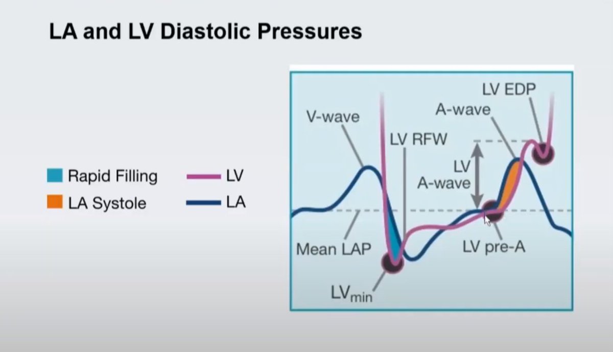 tanushreeMD's tweet photo. Navigating the ASE diastology guidelines with Dr. Sherif Nagueh. #MMI2020 #Cardiotwitter #ACCFIT #MedEd #ACCImaging #CVImaging #EchoFirst 
https://t.co/pYQYvdWSpQ https://t.co/Gqm41rAAkg