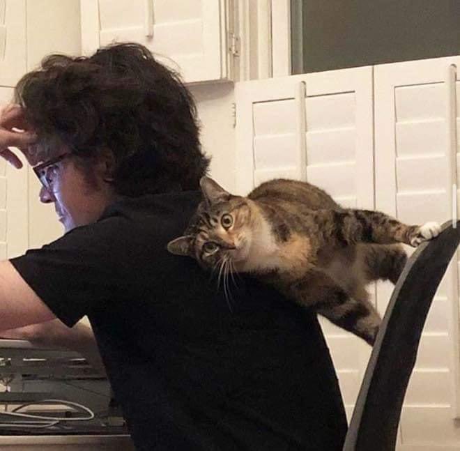 เจ๋งไม่งอนนาาาาา พี่แอชมาง้อ 🥺