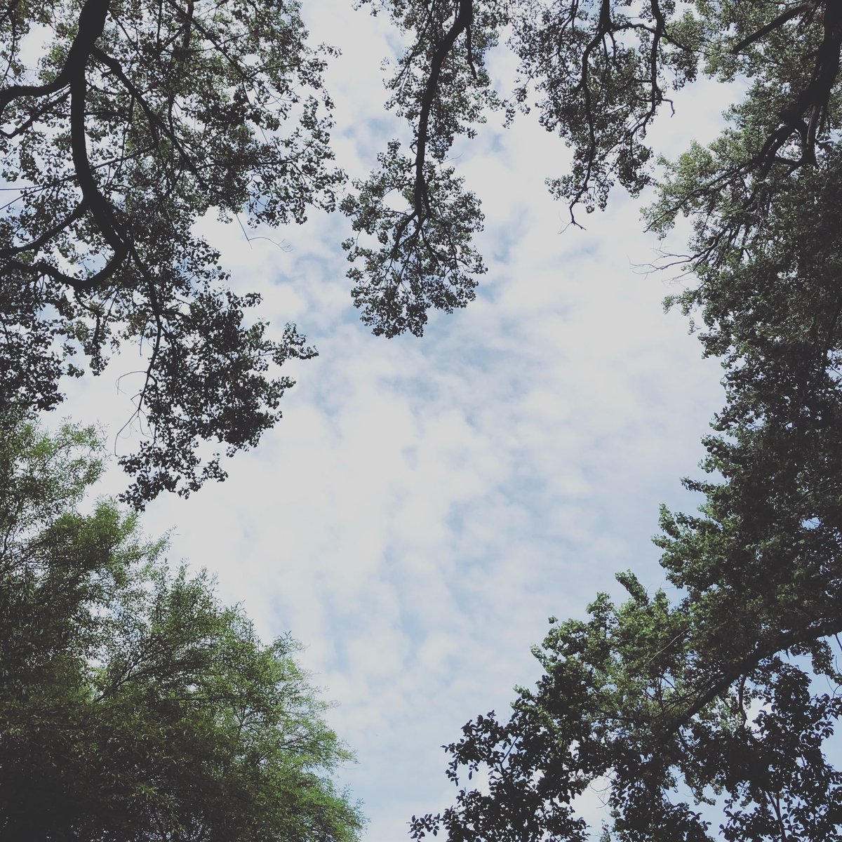 Salir al corazón de septiembre
para ver el divino latido del aire.

#Septiembre