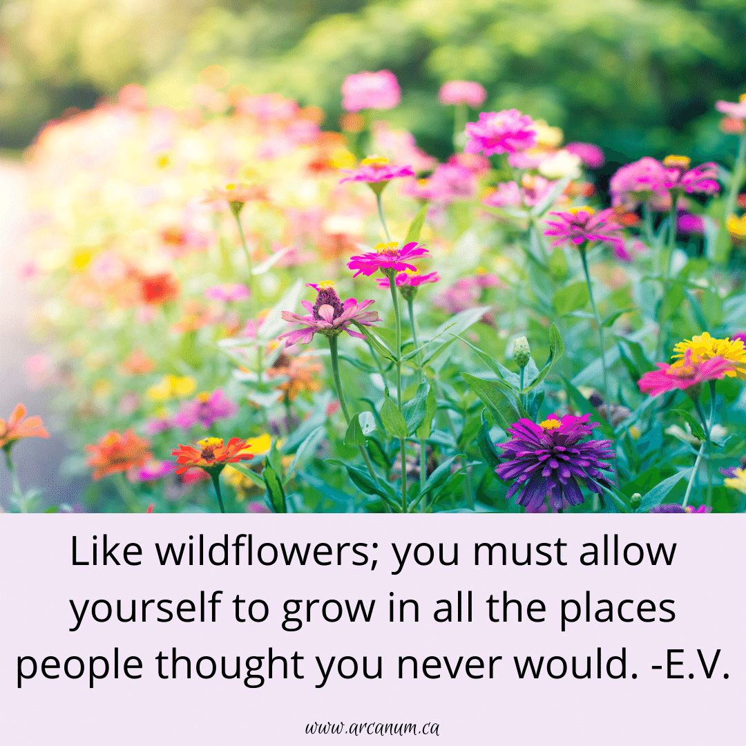 amcquinn's tweet image. Are you fully expressing your essential self?  Or are you defaulting to the expectations of others?  We can help. #essentialself #courage #autonomy  #homeopathy #supplements #nutrition #homeopathicmedicine #likecureslike #counselling #coaching