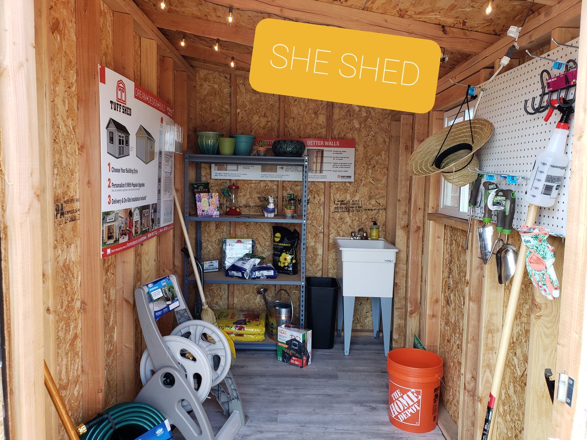 Alejandro Sears tweet media