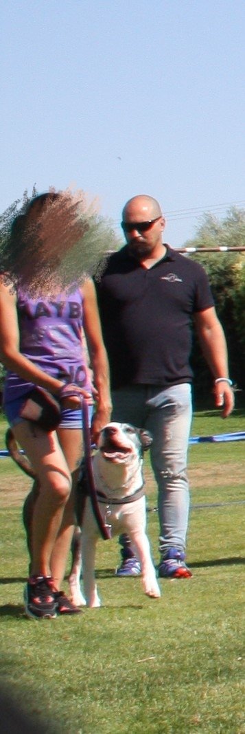 Hoy queremos agradecer el gran trabajo, que hacen los figurantes que colaboran en los entrenamientos, sin ellos no podríamos vencer nuestros miedos.
Gracias por toda vuestra ayuda.
#securitydog
#YoTengoUnPepo
#MujerValiente
#pepo