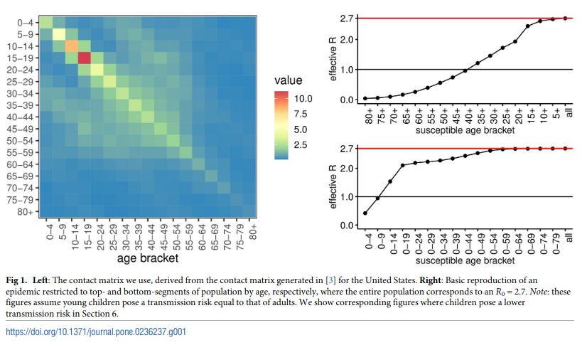 It is well-understood that the higher contact patterns among younger adults make those age groups the primary driver of the epidemic. Regardless of the relative roles of vaccines vs infection, the COVID epidemic will be over basically when it is over for 20-35 year olds.1/3