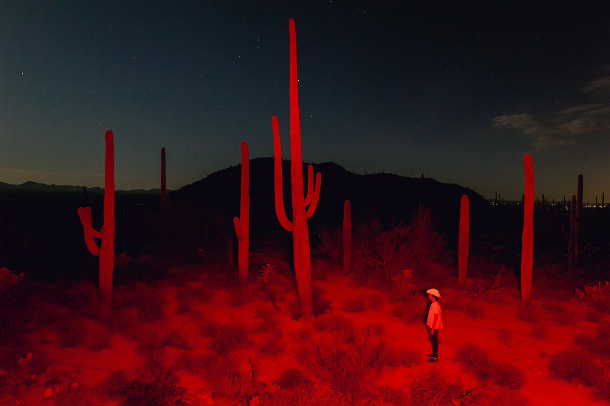 briscoepark's tweet photo. Photos I took in the desert https://t.co/wDQkRjmsve
