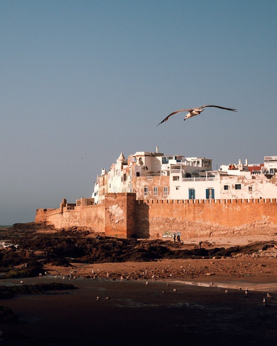 🌈Colorful Morocco🇲🇦 tweet media