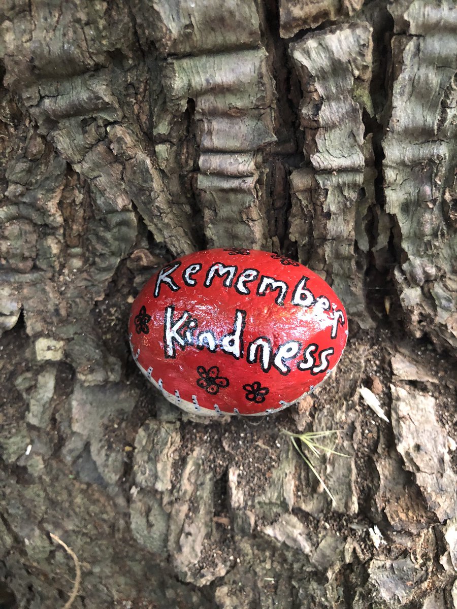 CompassionateRo's tweet image. Remember kindness 🌸

It’s so easy for us to remember struggles &amp;amp; suffering. What would happen if we deliberately took time to remember kindness?

#pebbleswithpurpose #KindnessMatters #rockpainting #kindness #paintedrocks #compassionrocks #compassionaterocks #365daysofcompassion