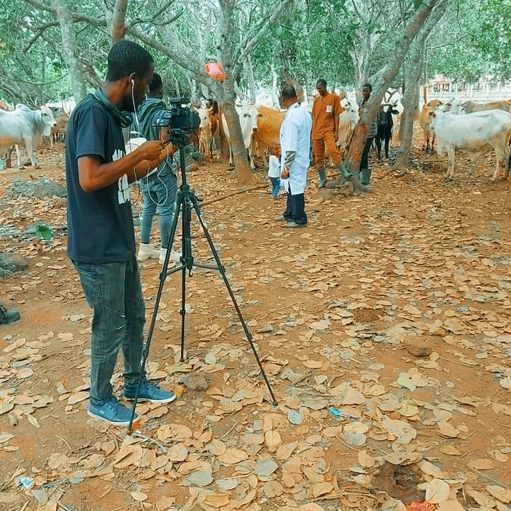 cubooverdose's tweet photo. 🇨🇮🚨 https://t.co/CBogzE8qJ5
