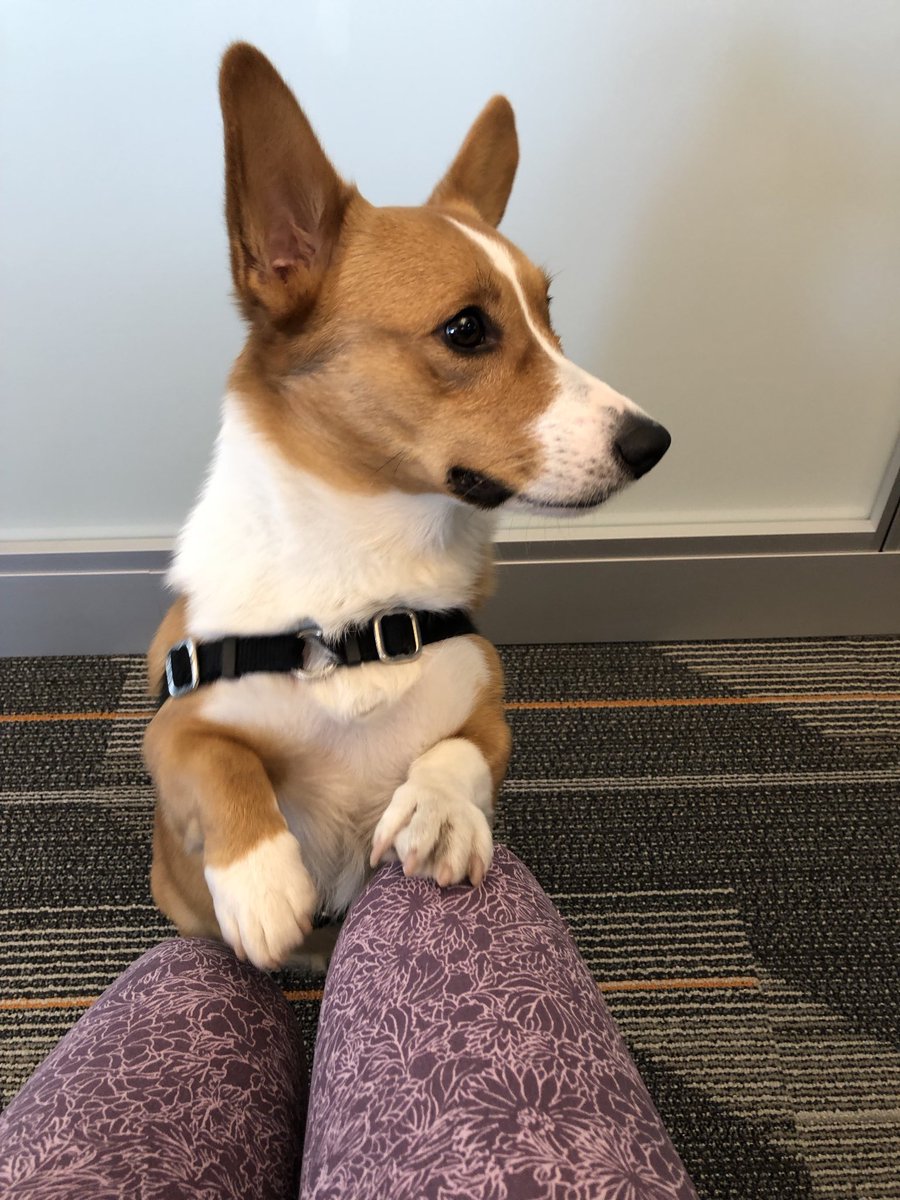 liwwu88's tweet photo. Miss my beautiful office and co-workers @ amazon https://t.co/sGiL5AB3hO
