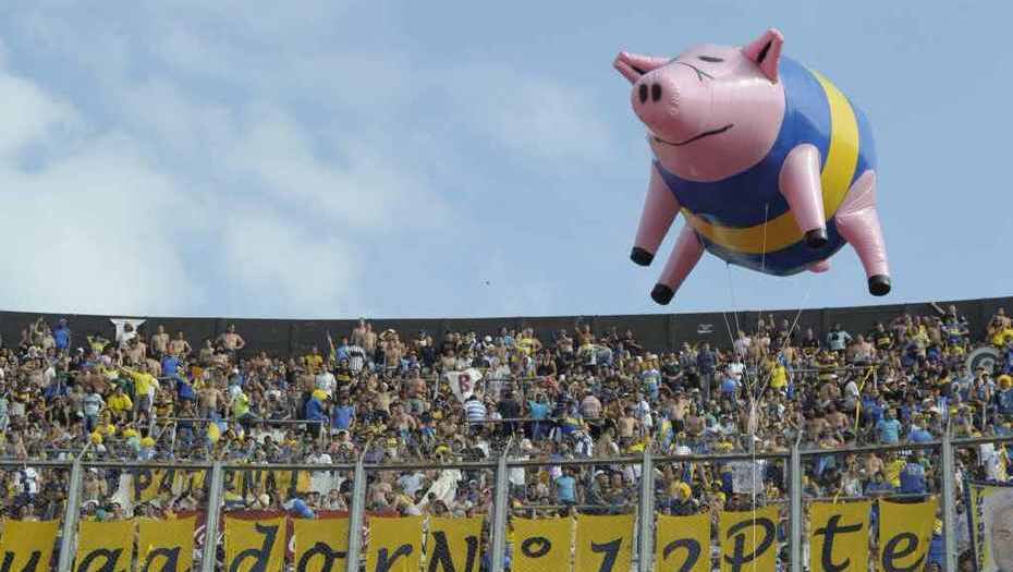 aleebostero12's tweet photo. Chancho mafioso bostero infectado, pero nunca descendido 😉 https://t.co/DoNd2i5HOD