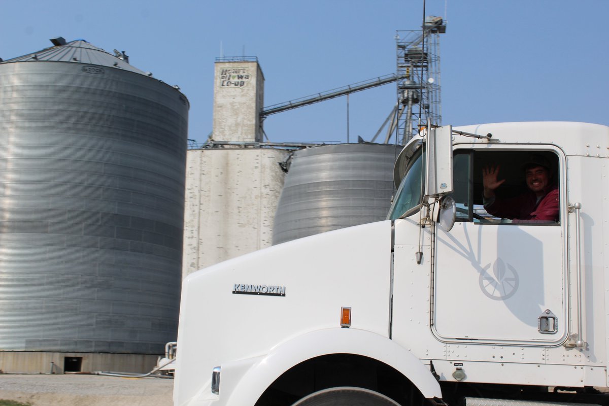 NevadaFFA's tweet image. @LongViewFarms Eric hauling in soybeans for Longview today at @KeyCooperative Nevada location #agriculture #harvest2020 #soybeans #NevadaCubPride