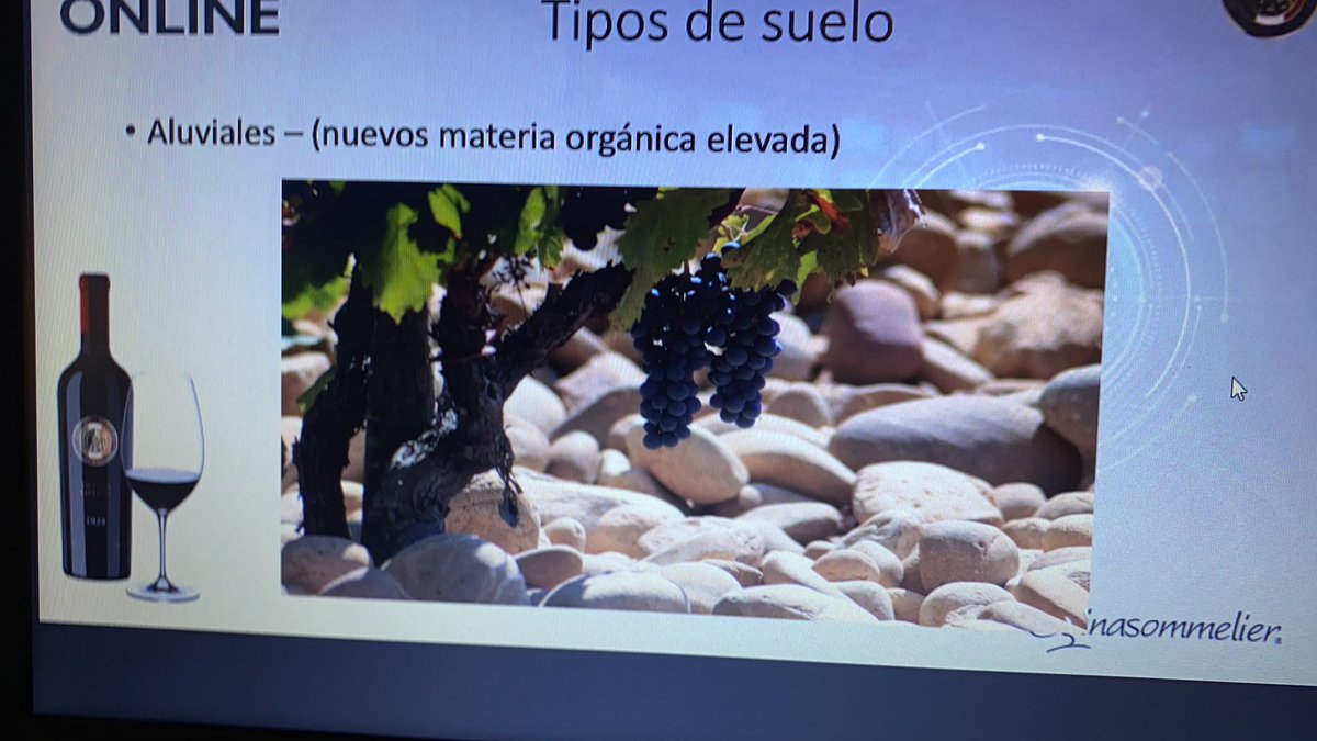 georginasalazar's tweet photo. @DiplomadoVinos Día 2 de !! Me encanto recordar que importante es el Terroir.. y el ciclo de la vid.. así la vida misma .. 🍷 gracias @ginasommelier @jlumana
@ASM_AC @jlumana @asm.mx #sommelierlife #sommelierestudiando #sommstudy !! Feliz sábado a todos https://t.co/BKzbvBHeJw