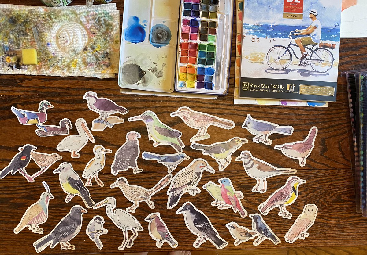 thewaterbirds's tweet photo. Up to 26 species of the bird decals from my watercolor bird species notebooks so far. Obviously they are totally to scale... #birding #birdtwitter #etsy https://t.co/TAEMLQLf3o