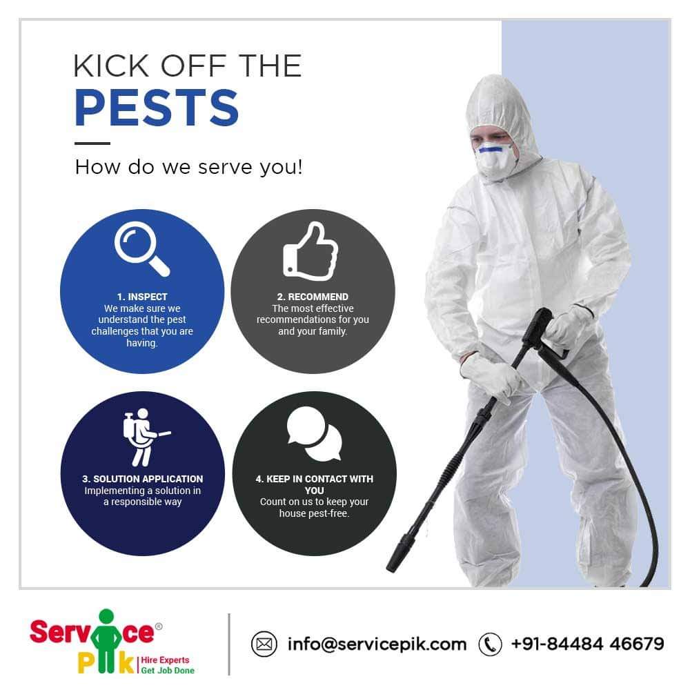 pik_service's tweet photo. We fulfill all the protocols while kicking off the undesired pests at your place.
Check how we serve you.
.
.
.
#pestcontrol #homefumigation #fumigator #vapam #pestcontrolservice #ratscontrol #termitecontrol #pests #cleaning #sanitization https://t.co/Nk1irZNNqq