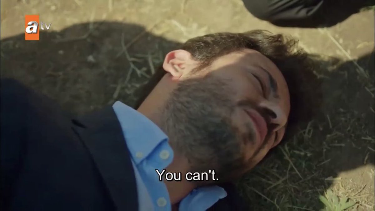 MISTER LION TO THE RESCUE  #Hercai