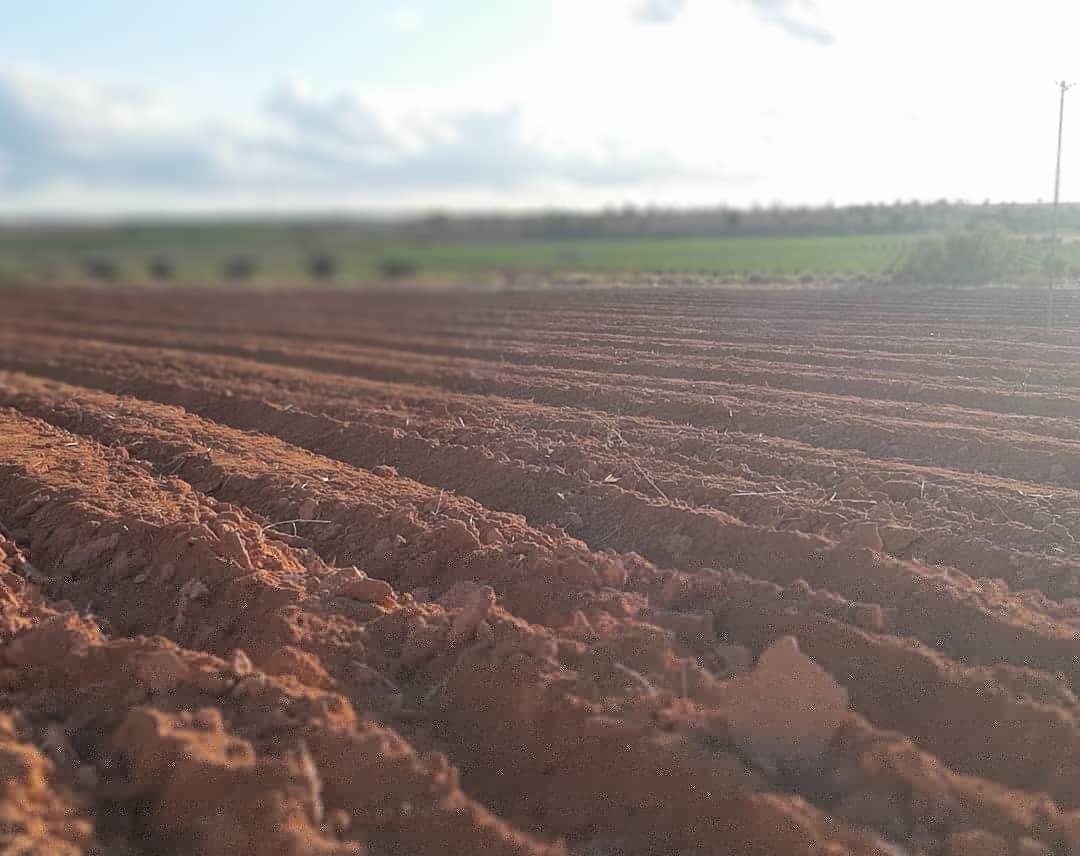 AZAFRÁN DESBRÍN tweet media