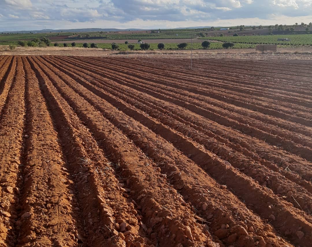 AZAFRÁN DESBRÍN tweet media