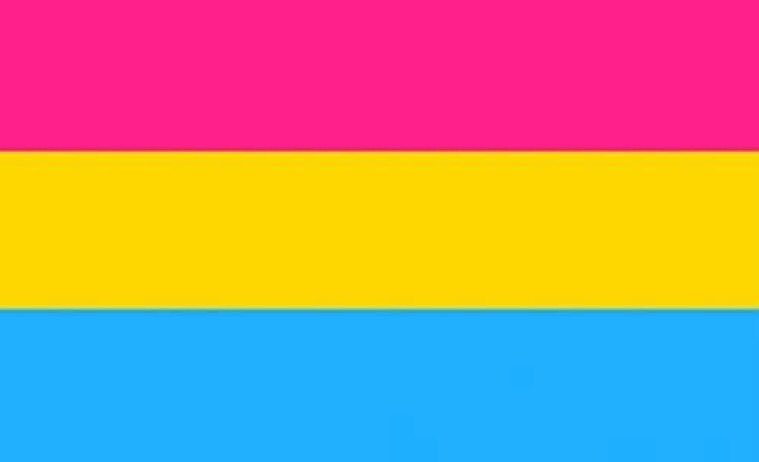 jimin is a pansexual. no questions asked.