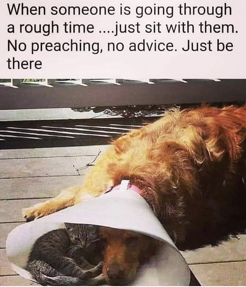 RealDeniseWelch's tweet photo. Night guys ❤️❤️❤️ https://t.co/4rvuWfJJDf