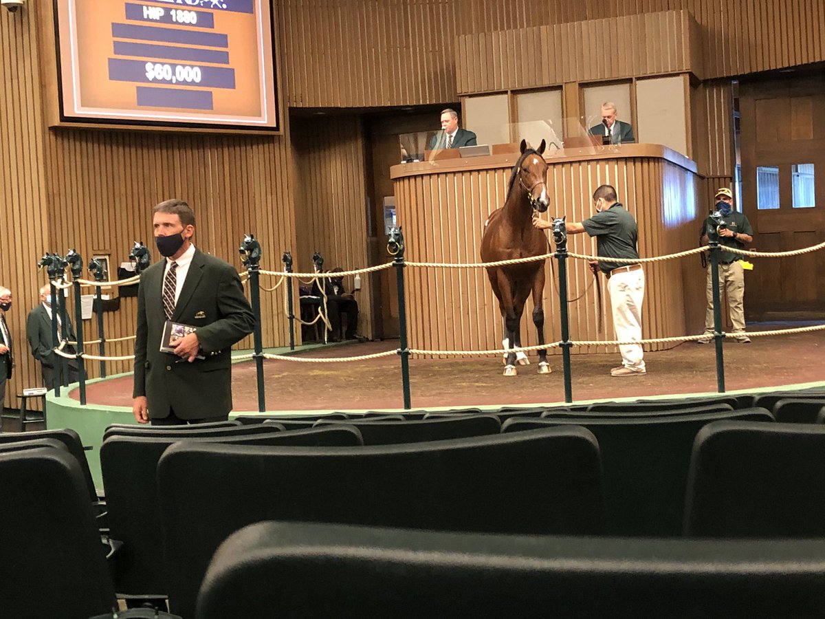 Goodwoodracing's tweet photo. Hip 1880 joins the group @keenelandsales #unionrags https://t.co/iShA5B89Tz