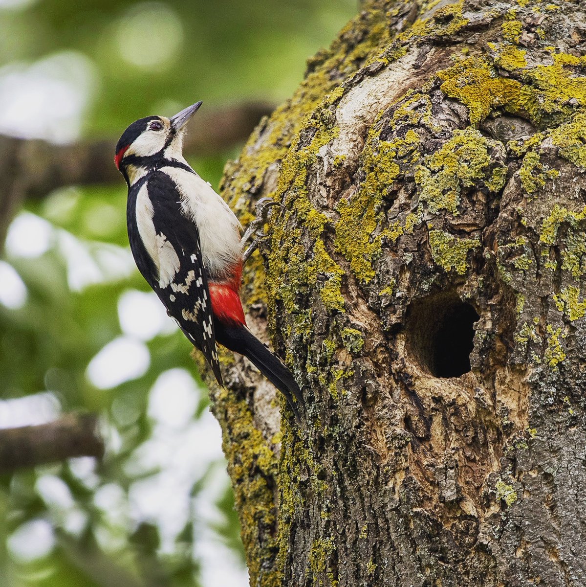 ATM🔸Capture (@amrithapa99) on Twitter photo 