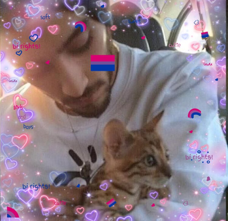 zayn says bi rights!