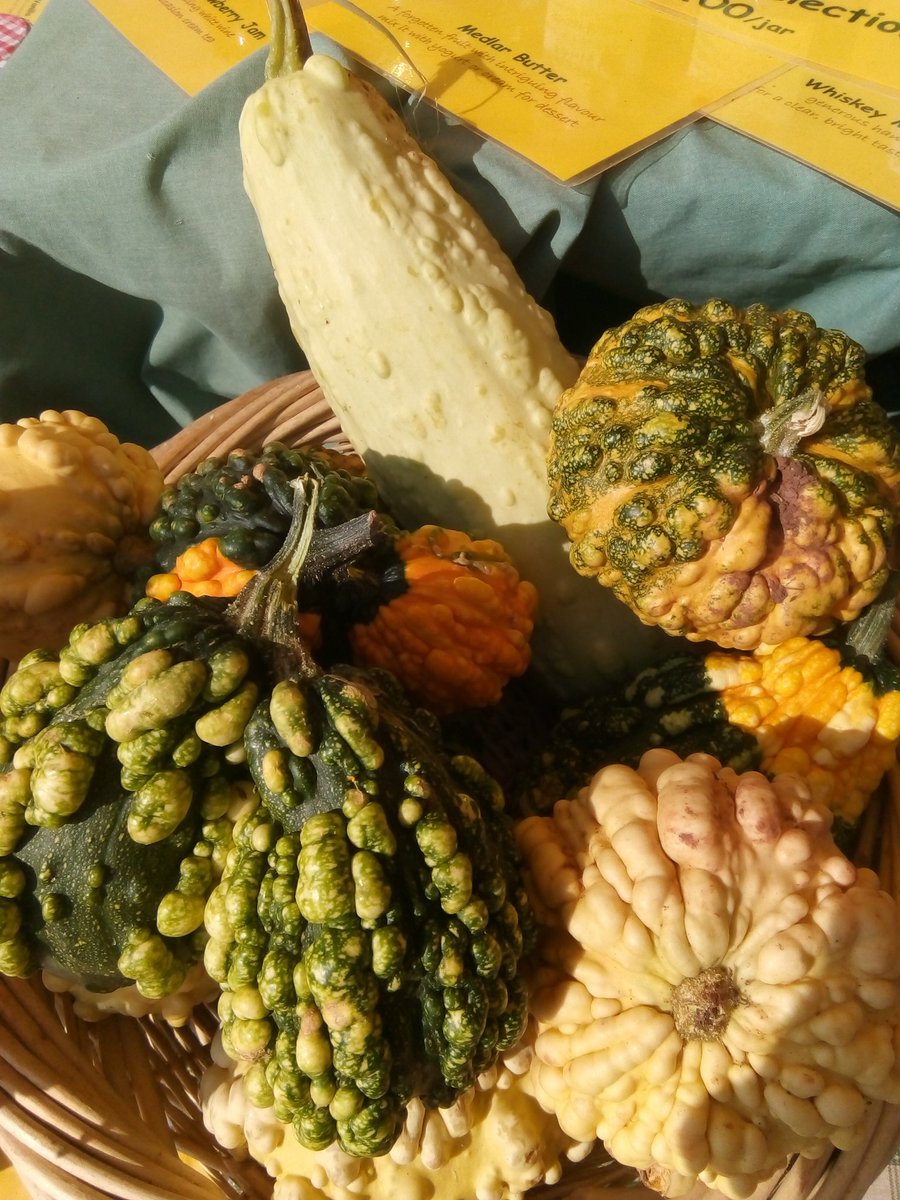 Lori Reich tweet media