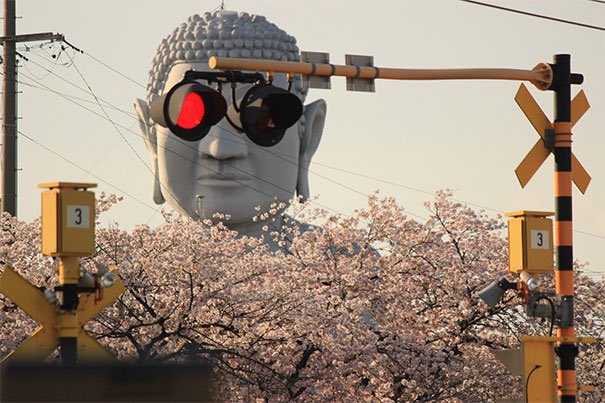 PsychologyMind1's tweet photo. perfect timing 👌 https://t.co/tUCY2aOQ59