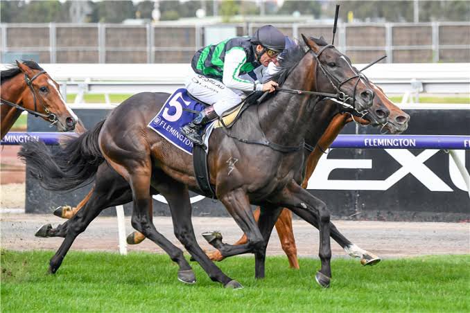 Rosemont Stud tweet media